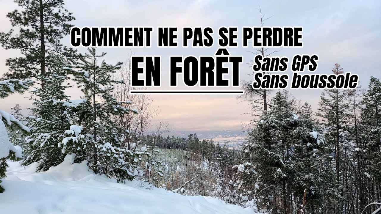3 CONSEILS POUR S'ORIENTER EN FORÊT (SANS GPS)