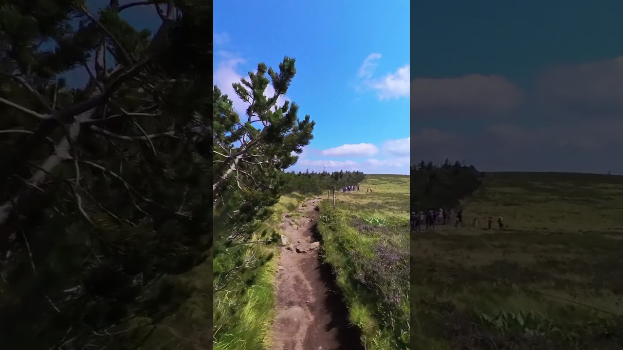 La plus belle randonnée dans le massif des Vosges