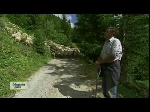 Rando dans les Alpes - Echappées belles