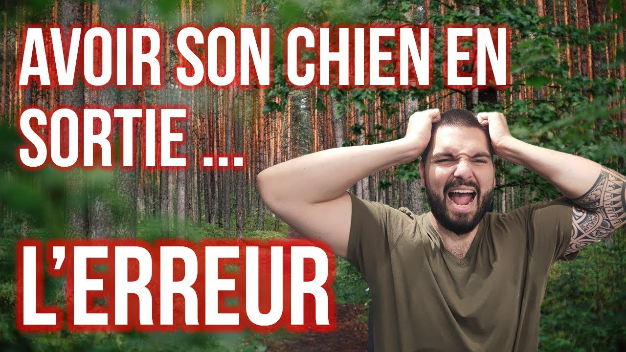 LE CAUCHEMAR D'AVOIR SON CHIEN EN SORTIE RANDO/TREK