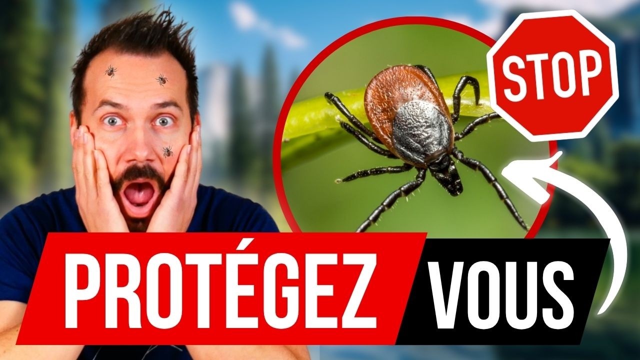 Comment se Protéger efficacement des Tiques en Rando !