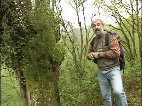 Guide pour 4 randonnées dans les Pyrénées