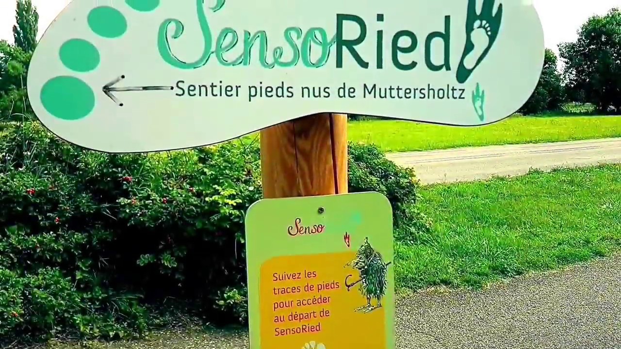 Ballade au sentier pieds nus de Muttersholtz : Sensoried